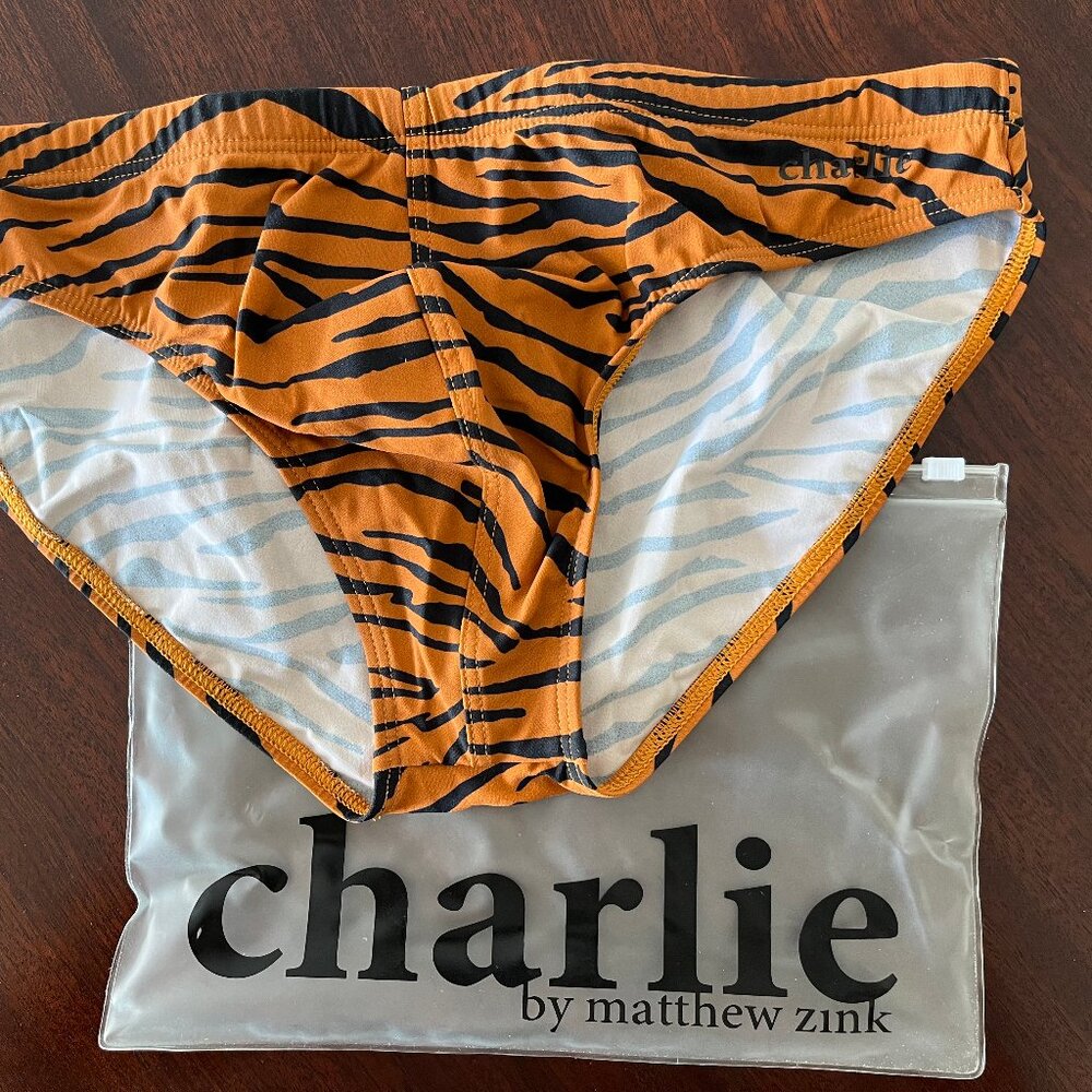 Brand New Body Brief Swimwear - Charlie by Matthew Zink